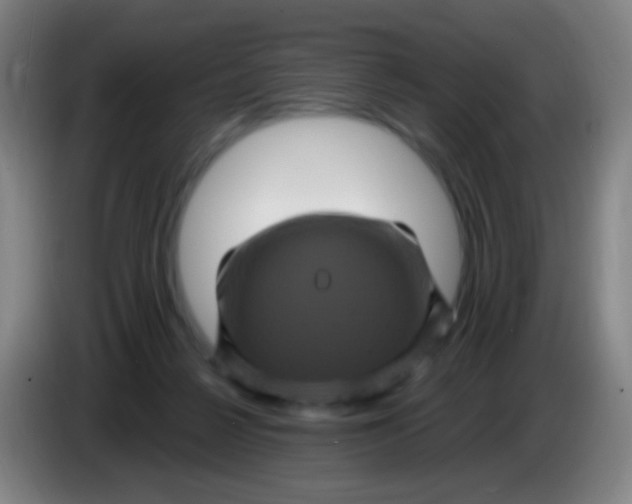 X0000085320264200703302051