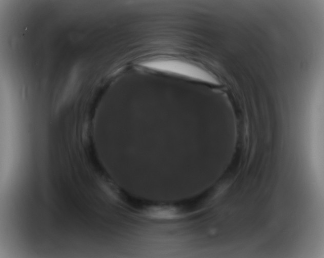 X0000085320266200703302051