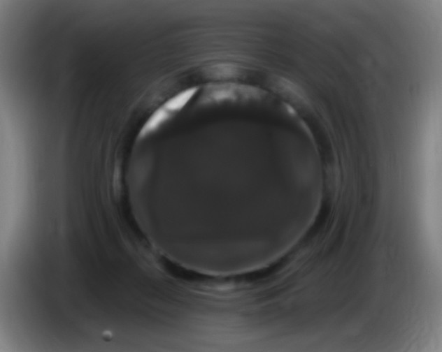 X0000085320267200703302051