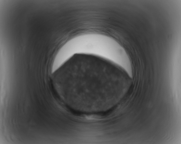 X0000085320268200703302051