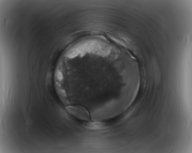 X0000085320269200703302051