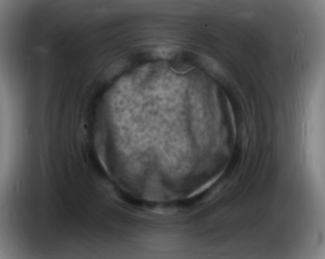 X0000085320270200703302051