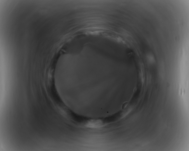 X0000085320271200703302051