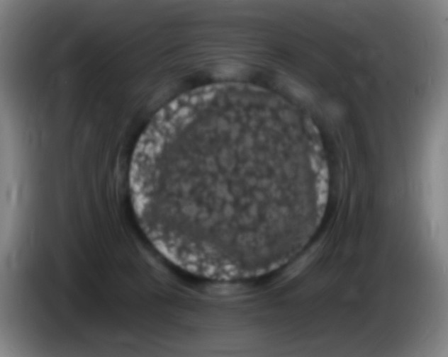 X0000085320273200703302051