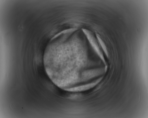 X0000085320274200703302051