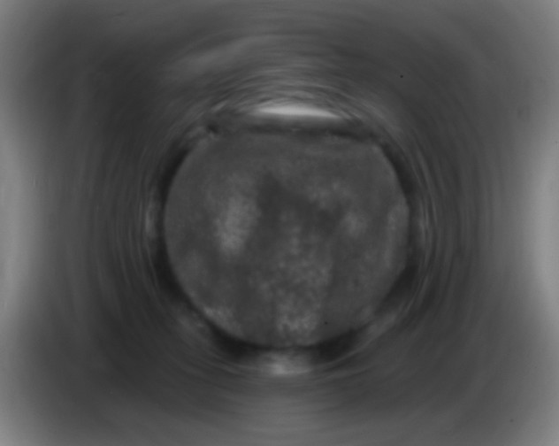 X0000085320275200703302051
