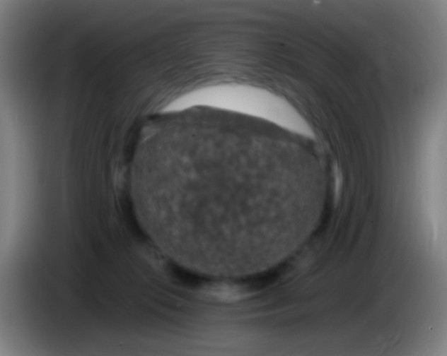 X0000085320276200703302051