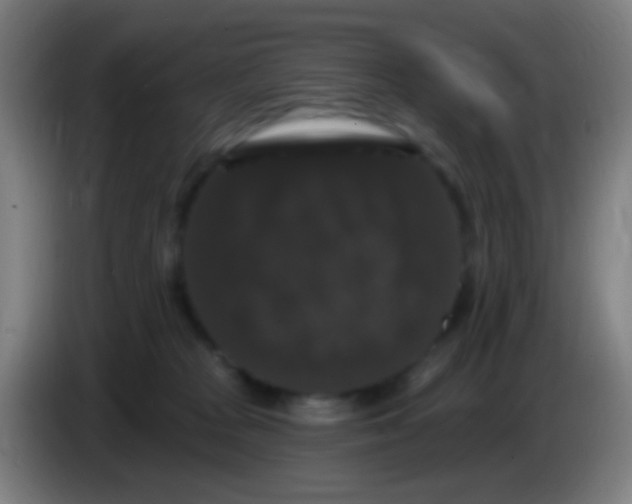 X0000085320277200703302051
