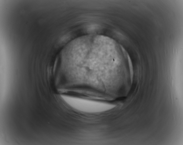 X0000085320278200703302051