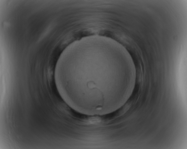 X0000085320279200703302051