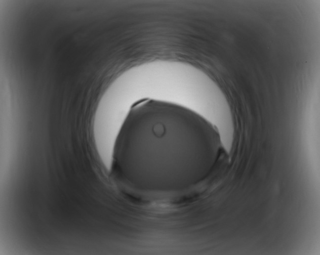 X0000085320280200703302051