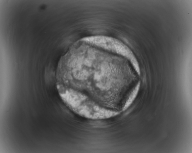 X0000085320281200703302051