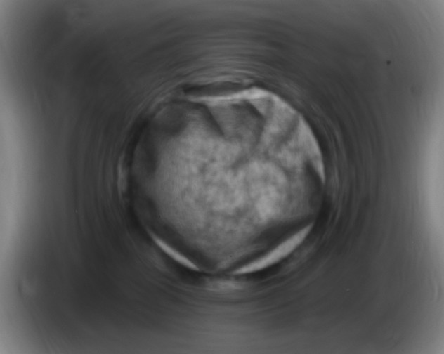 X0000085320282200703302051