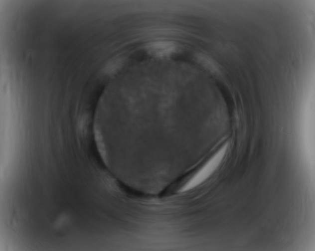 X0000085320283200703302051