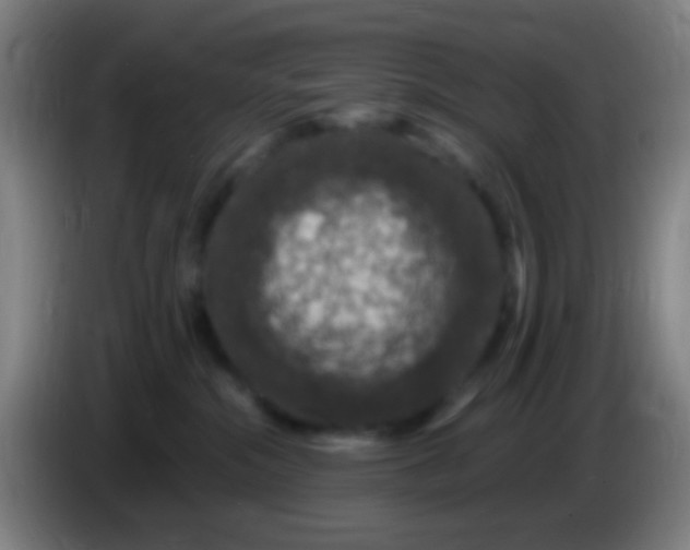 X0000085320284200703302051