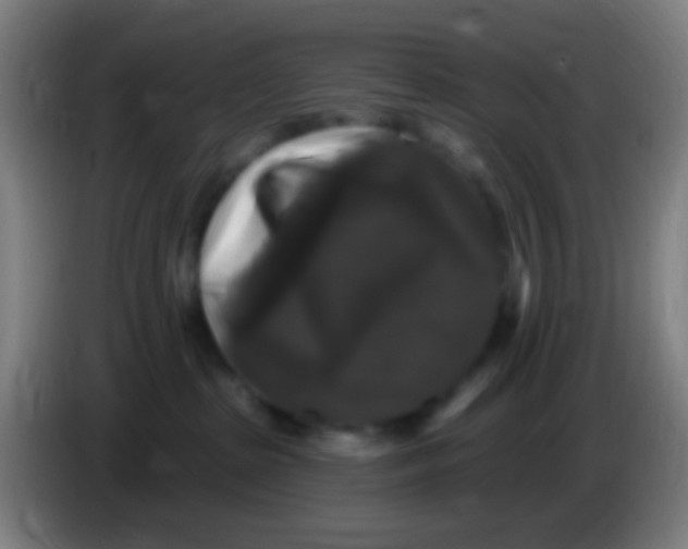 X0000085320285200703302051