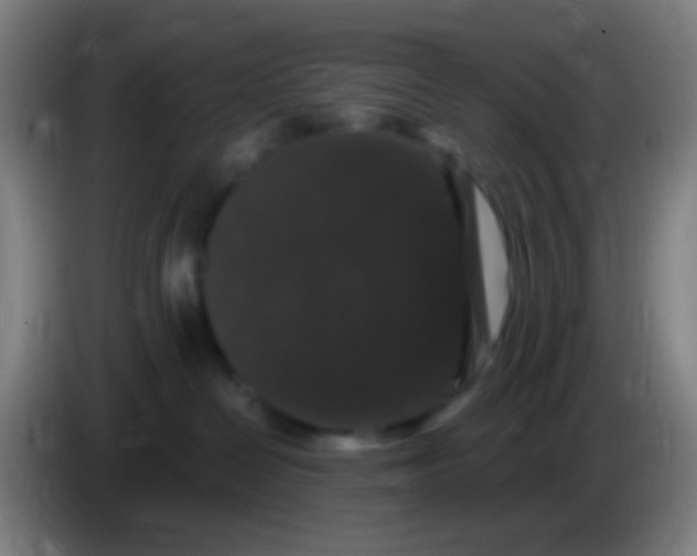 X0000085320286200703302051