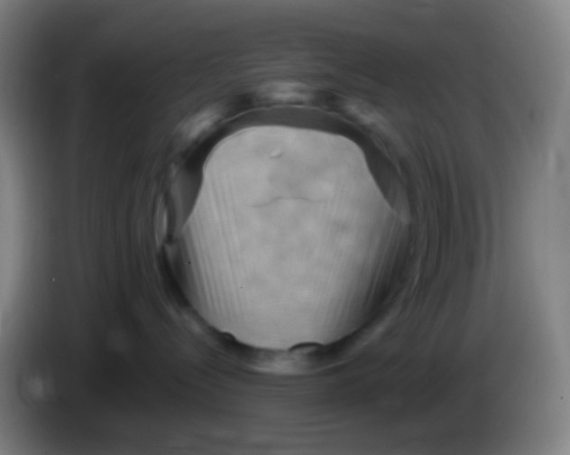 X0000085320288200703302051
