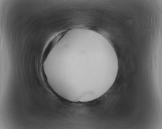 X0000085320289200703302050