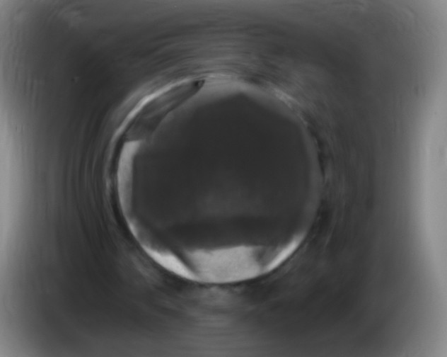 X0000085320290200703302050