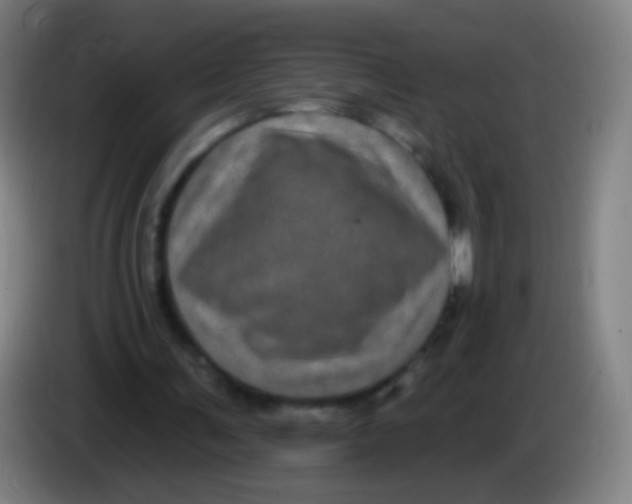 X0000085320291200703302050