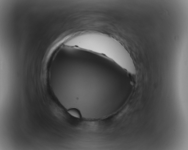 X0000085320295200703302050