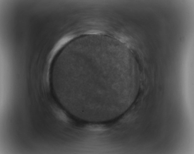 X0000085320296200703302050