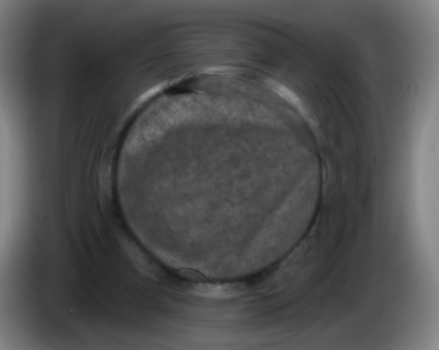 X0000085320297200703302050