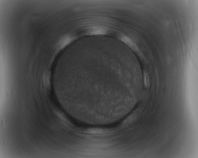 X0000085320300200703302050