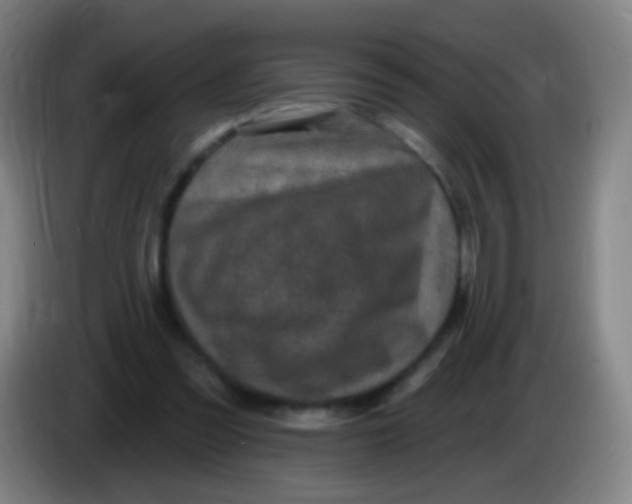 X0000085320301200703302050