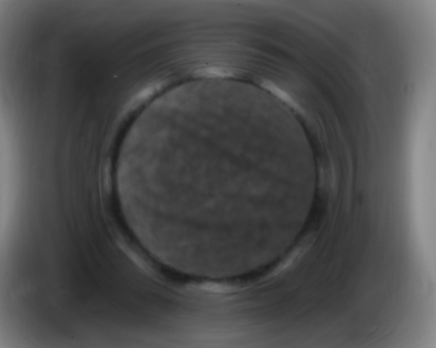 X0000085320302200703302050