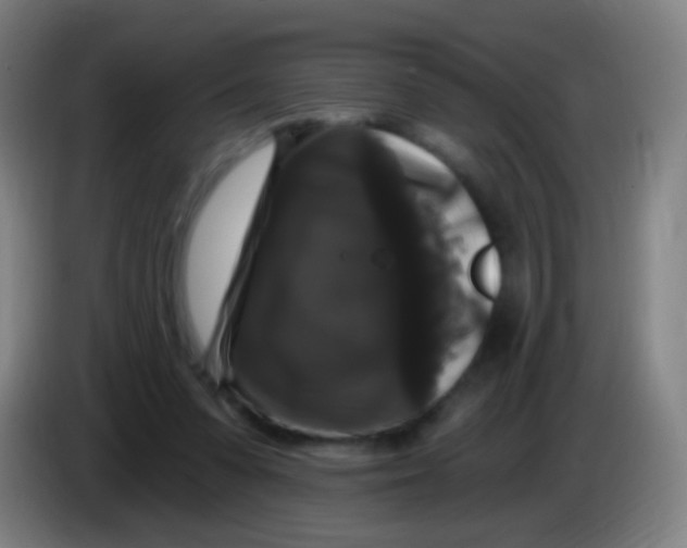 X0000085320303200703302050