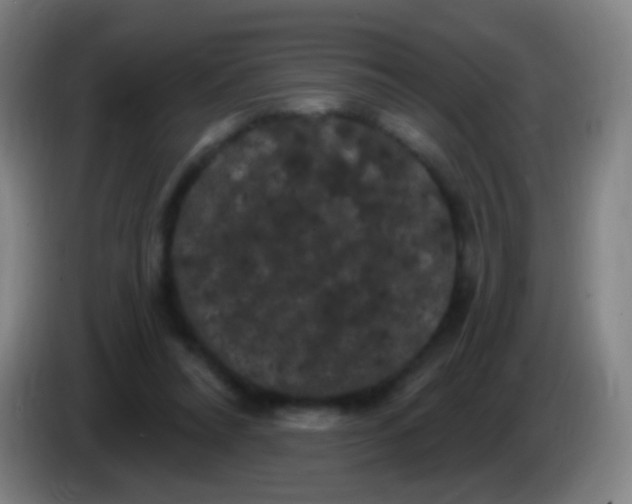 X0000085320304200703302050