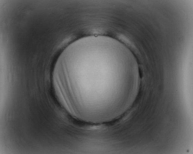 X0000085320306200703302050