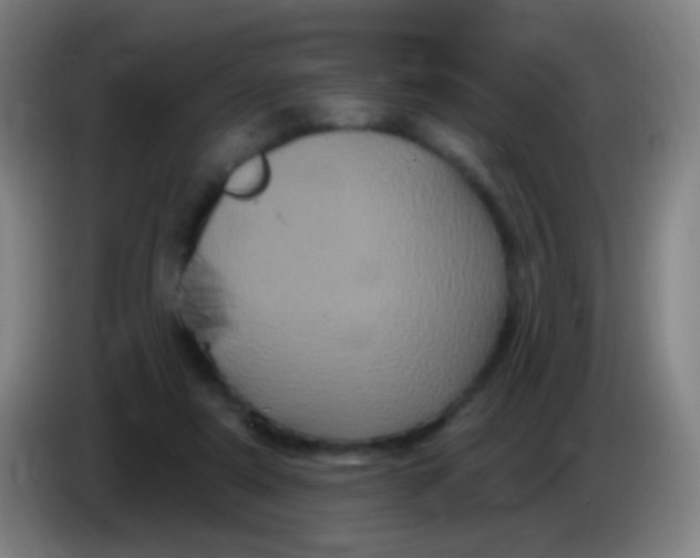 X0000085320307200703302050