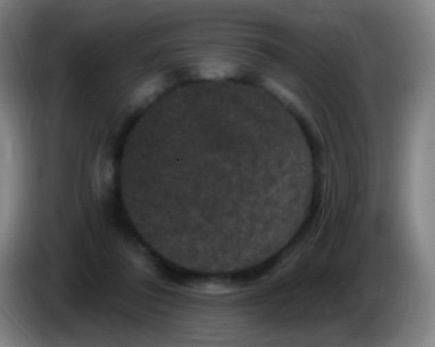 X0000085320308200703302050