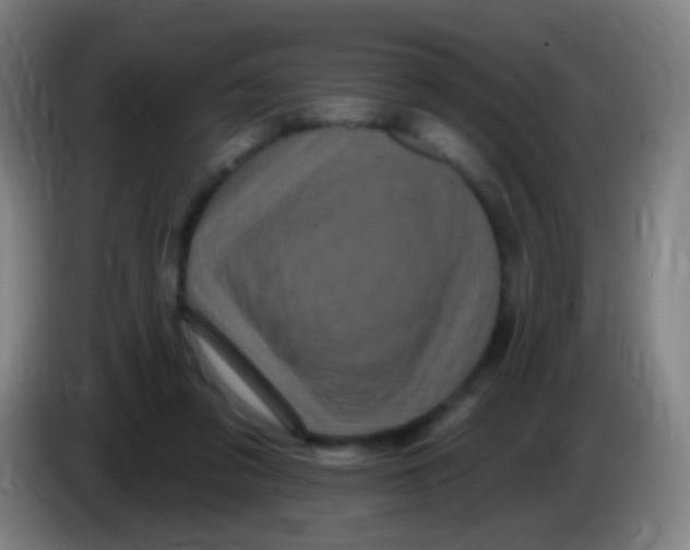 X0000085320309200703302050