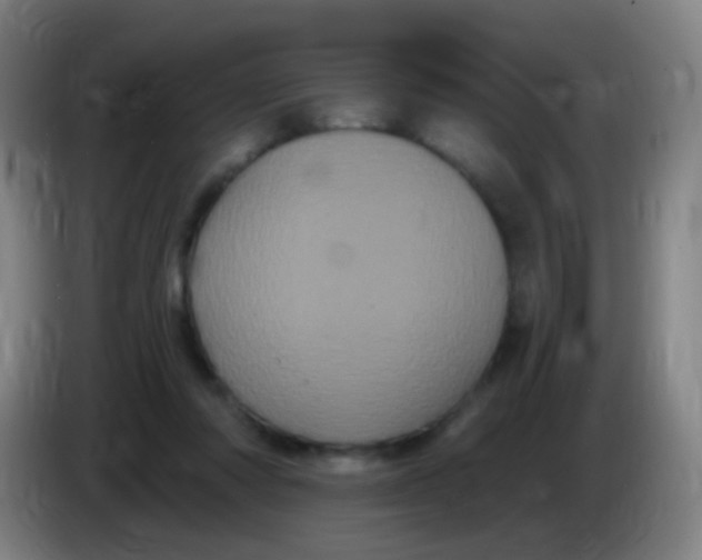 X0000085320310200703302050