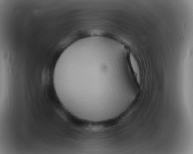 X0000085320311200703302050