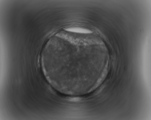 X0000085320313200703302050