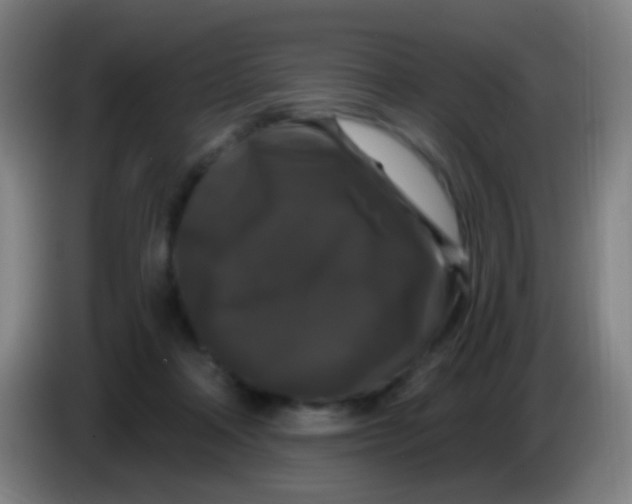 X0000085320314200703302050