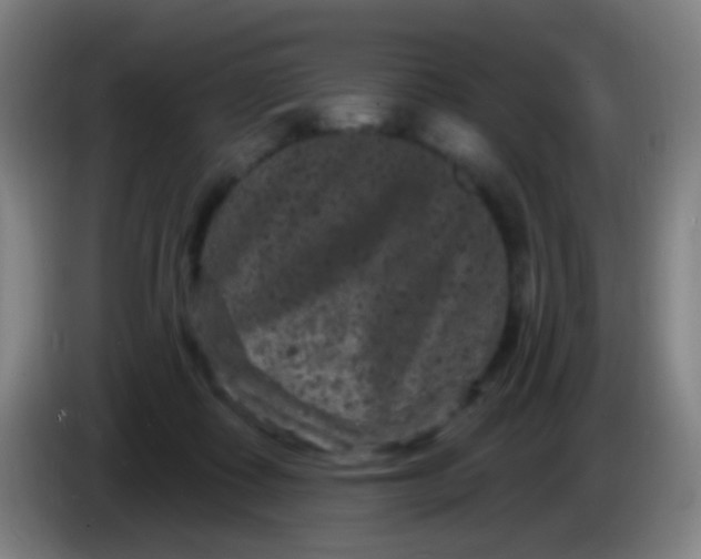 X0000085320315200703302050