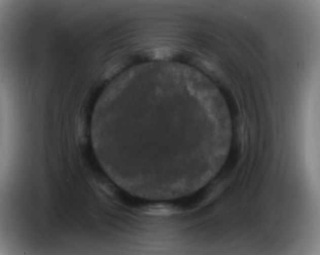 X0000085320316200703302050