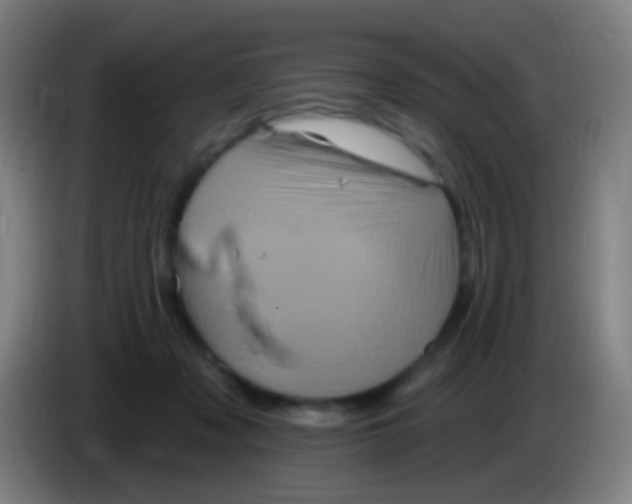 X0000085320317200703302050