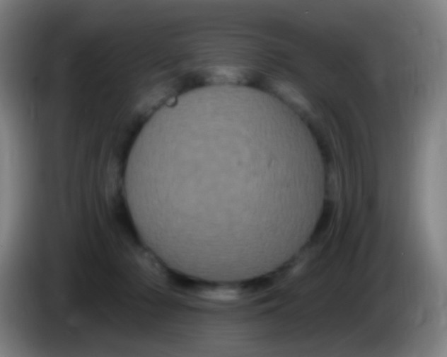 X0000085320318200703302050