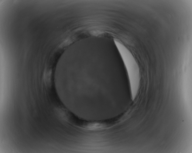 X0000085320319200703302050