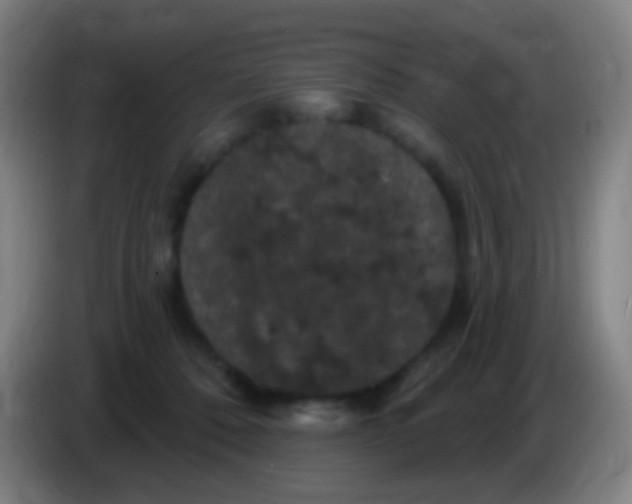 X0000085320320200703302050
