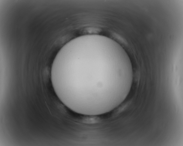 X0000085320321200703302050