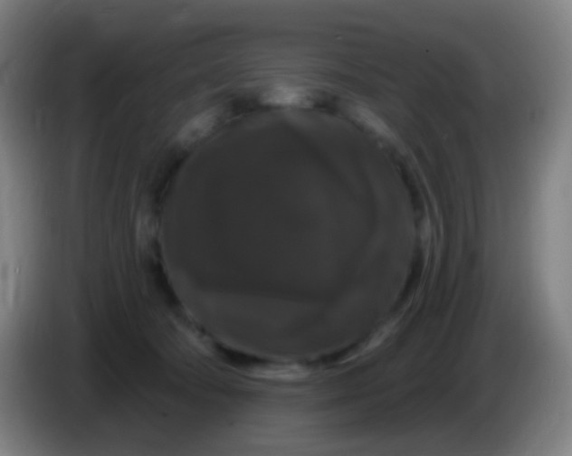 X0000085320322200703302050