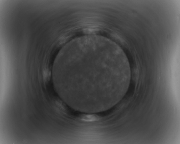 X0000085320324200703302050